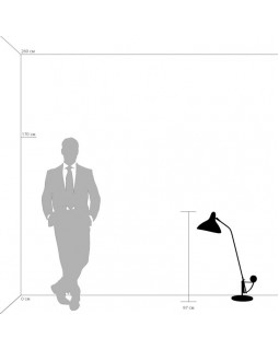 Настольная лампа Lightstar 764906-foto3