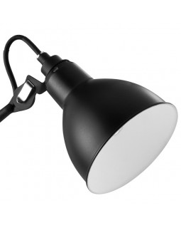 Настольная лампа Lightstar 765917-foto2