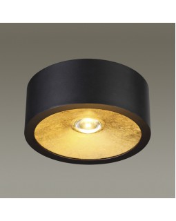 Накладной светильник Odeon Light 3875/1CL-foto2