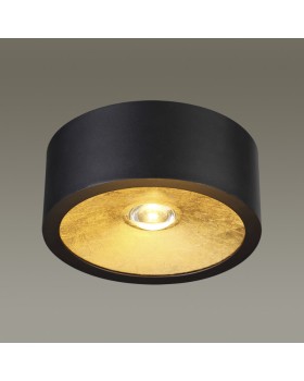 Накладной светильник Odeon Light 3875/1CL-foto2