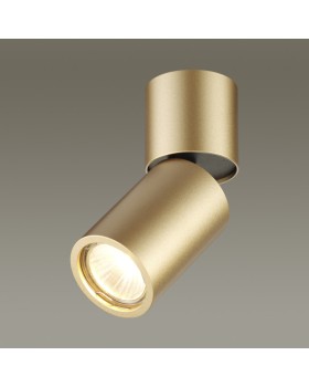 Накладной светильник Odeon Light 3895/1C-foto2