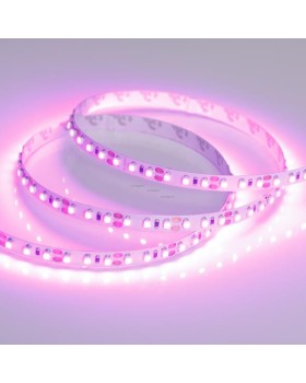 Лента Arlight 015897-foto2