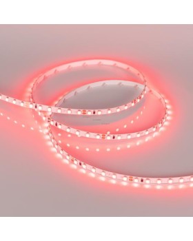 Лента Arlight 015657(B)-foto2