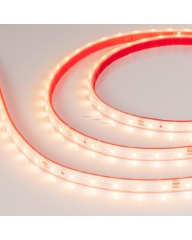 Лента Arlight 024565-foto2