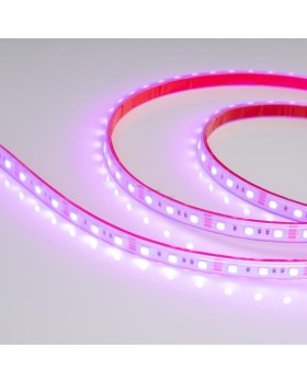 Лента Arlight 012311-foto2