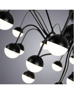 Накладная люстра ARTE Lamp A3619PL-24BK-foto4