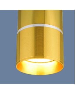 Накладной светильник Elektrostandard DLN106 GU10 золото-foto3