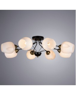 Накладная люстра ARTE Lamp A2706PL-8CK-foto2