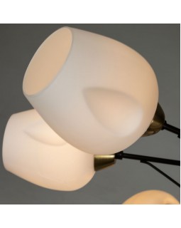 Накладная люстра ARTE Lamp A2706PL-8CK-foto3