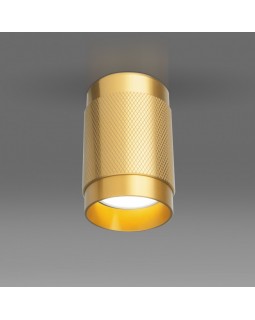 Накладной светильник Elektrostandard DLN109 GU10 золото-foto2