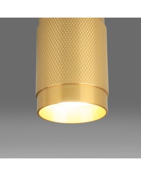 Накладной светильник Elektrostandard DLN109 GU10 золото-foto3