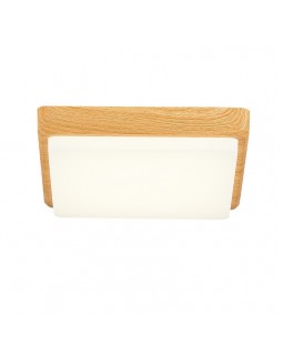 Накладной светильник Evoluce SLE200202-01-foto3