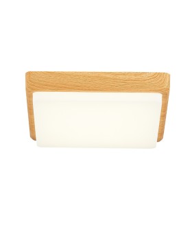 Накладной светильник Evoluce SLE200202-01-foto3