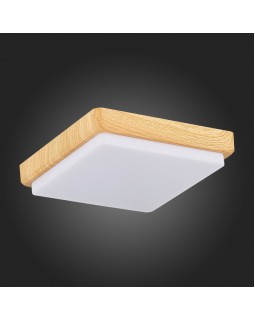 Накладной светильник Evoluce SLE200202-01-foto4