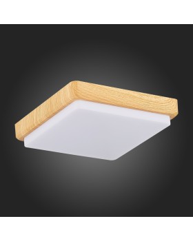 Накладной светильник Evoluce SLE200202-01-foto4