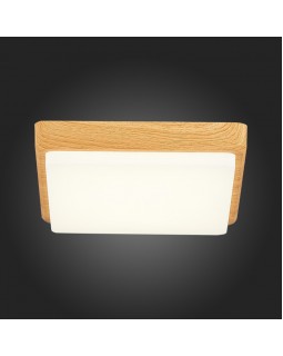 Накладной светильник Evoluce SLE200202-01-foto5