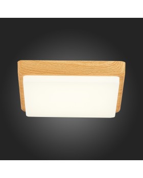 Накладной светильник Evoluce SLE200202-01-foto5