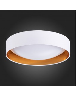 Накладной светильник Evoluce SLE201122-01-foto4