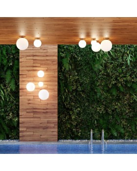 Накладной светильник Odeon Light 4247/1C-foto3