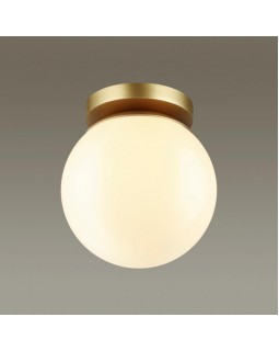 Накладной светильник Odeon Light 4247/1C-foto4