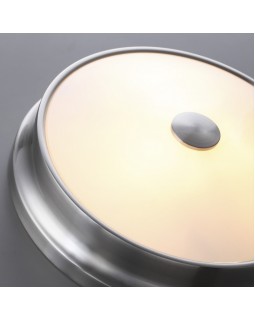 Накладной светильник Odeon Light 4825/3C-foto4