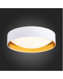 Накладной светильник Evoluce SLE201122-01-foto5