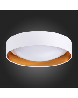 Накладной светильник Evoluce SLE201122-01-foto6