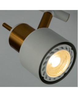 Спот ARTE Lamp A1906PL-2WH-foto3