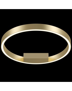 Накладной светильник Maytoni MOD058CL-L25BS4K-foto2