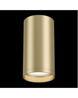 Накладной светильник Maytoni Technical C052CL-01MG-foto2