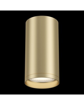 Накладной светильник Maytoni Technical C052CL-01MG-foto2