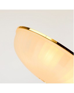 Накладной светильник F-Promo 2752-5C-foto4