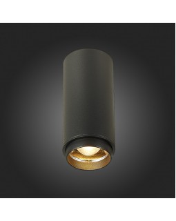 Накладной светильник ST-Luce ST600.432.10-foto2