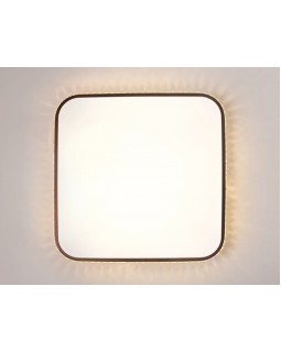 Накладной светильник Ambrella Light FF76-foto6