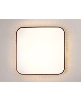 Накладной светильник Ambrella Light FF76-foto6
