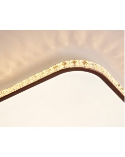 Накладной светильник Ambrella Light FF76-foto7