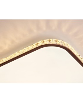 Накладной светильник Ambrella Light FF76-foto7