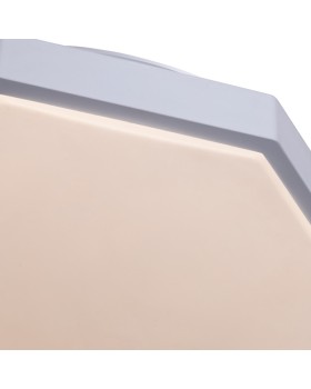 Накладной светильник ARTE Lamp A2659PL-1WH-foto4