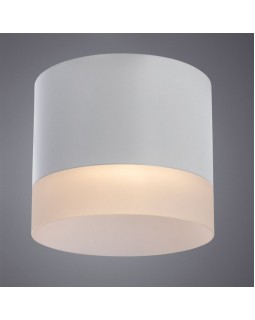 Накладной светильник ARTE Lamp A5554PL-1WH-foto2