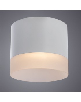 Накладной светильник ARTE Lamp A5554PL-1WH-foto2