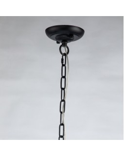 Подвесная люстра Favourite 2965-8P-foto3