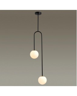 Накладной светильник Odeon Light 4340/2-foto4