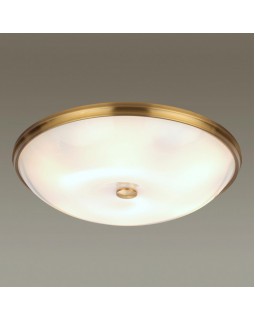 Накладной светильник Odeon Light 4956/6-foto3