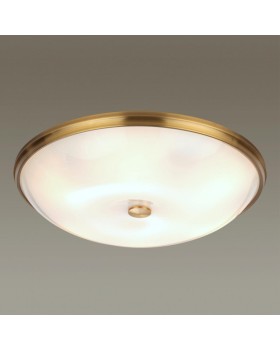 Накладной светильник Odeon Light 4956/6-foto3
