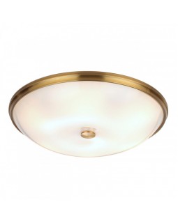Накладной светильник Odeon Light 4956/6-foto4