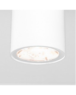Уличный светильник Elektrostandard Light LED 2102 (35129/H) белый-foto2