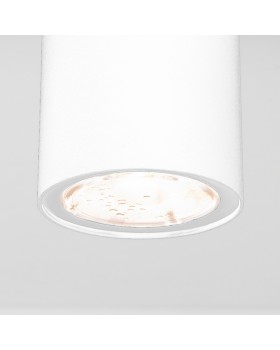 Уличный светильник Elektrostandard Light LED 2102 (35129/H) белый-foto2