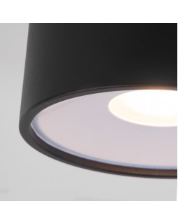 Уличный светильник Elektrostandard Light LED 2135 (35141/H) черный-foto2