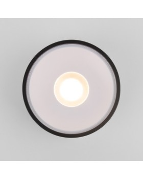 Уличный светильник Elektrostandard Light LED 2135 (35141/H) черный-foto3