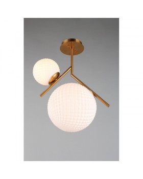 Накладной светильник APLOYT APL.300.07.02-foto3